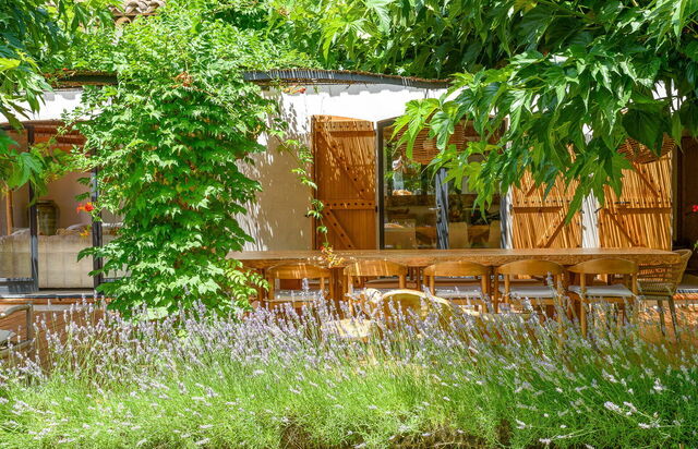 Villa Cicadis, lavender in the garden