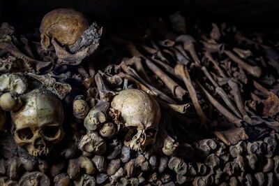 Bones in the Catacombs of Paris