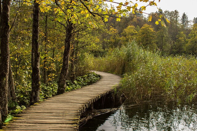 Plitvice Lakes in Autumn