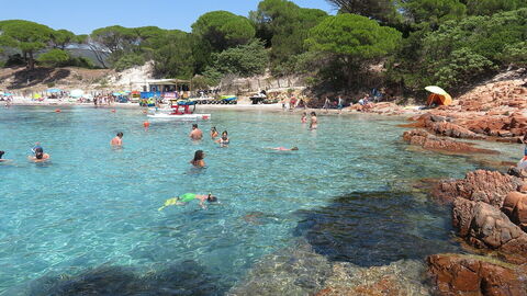 A section of the Palombaggia Beach