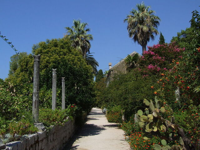 Trsteno Arboretum, plants