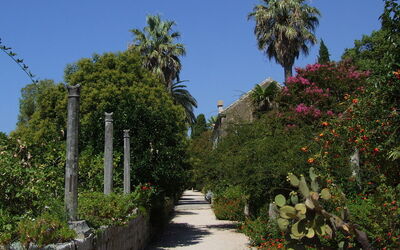 Trsteno Arboretum, plants