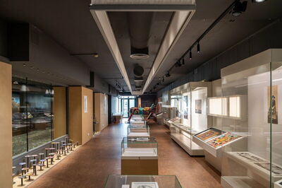 Natural History Museum of Crete, interior