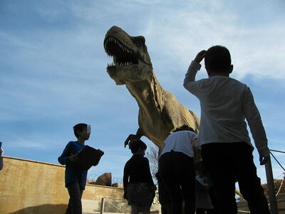Natural History Museum of Crete, T-Rex