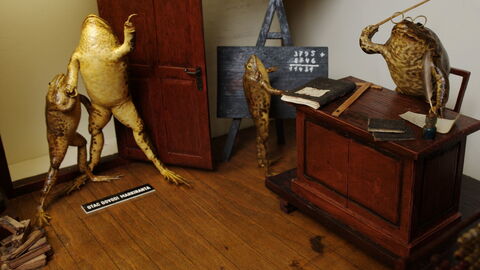 Froggyland, classroom scene