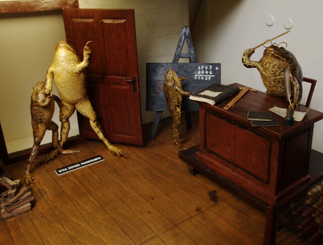 Froggyland, classroom scene