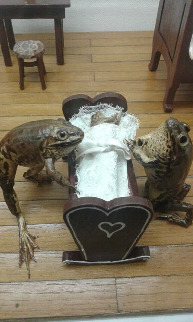 Froggyland, nursery scene