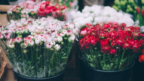 Cours Saleya, flowers