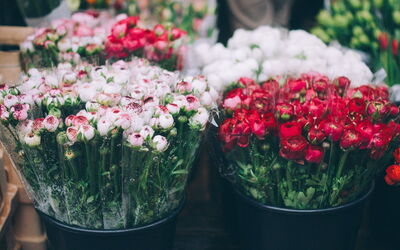 Cours Saleya, flowers