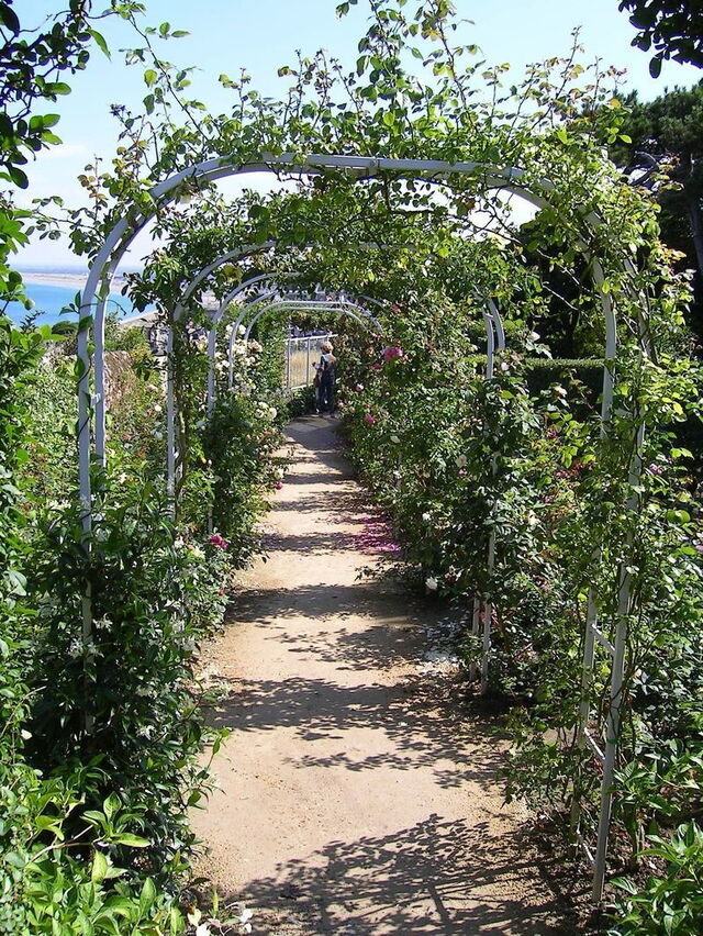 Garden, Musée Christian Dior