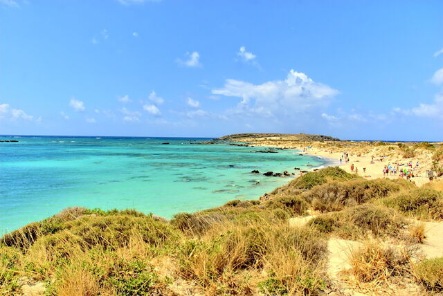 Elafonisi Beach, grasses