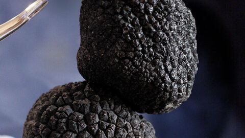 Truffles