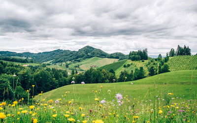 Vacation Rentals In Styria