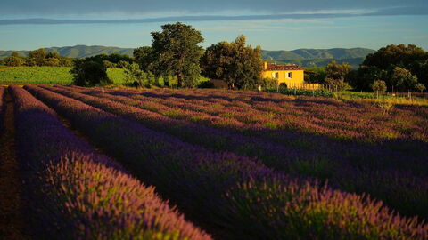 Landscape of Provence
