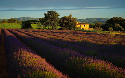 Landscape of Provence