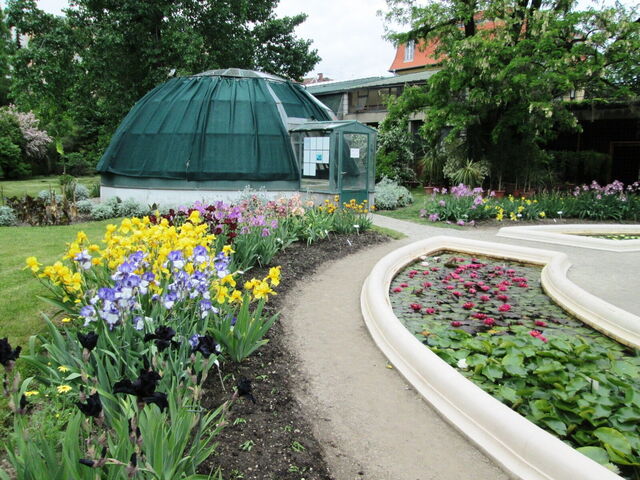 Botanical Garden of Zagreb, Flowers