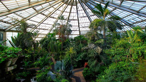 Parc Phoenix, Greenhouse