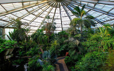 Parc Phoenix, Greenhouse