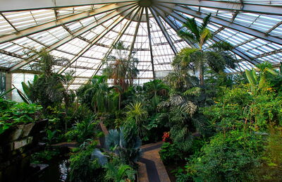 Parc Phoenix, Greenhouse