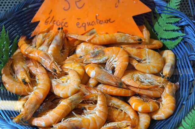 Shrimps
