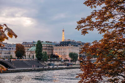 Autumn by the Seine