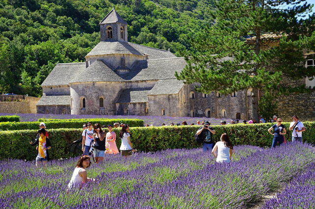 Abbaye de Senanque