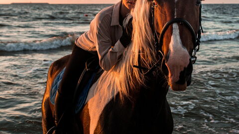 Horseback riding on the water