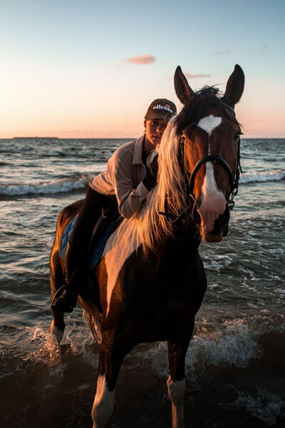 Horseback riding on the water