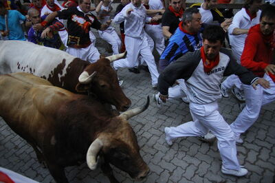 Pamplona