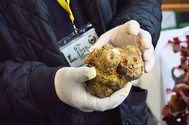 Truffles