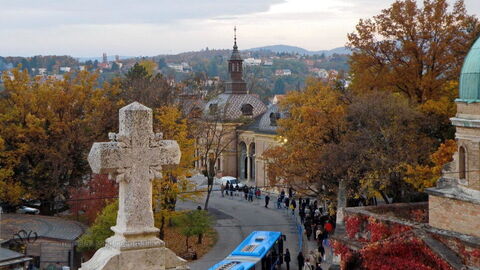Overview