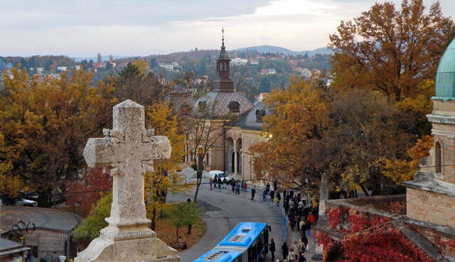 Overview