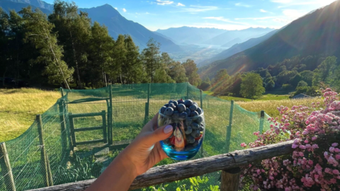 Baita Lake View, view