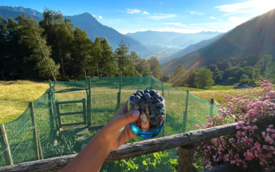 Baita Lake View, view