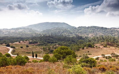 Vacation Rentals In District of Setúbal