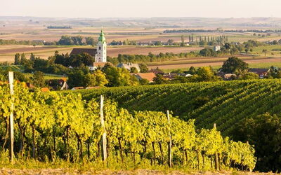 Vacation Rentals In Lower-Austria