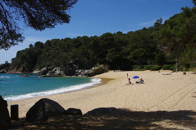 Playa Treumal