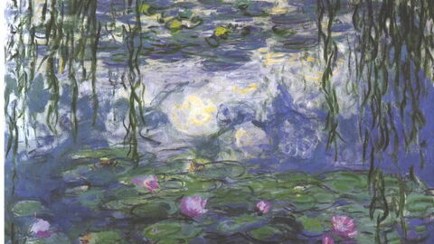 Water Lilies