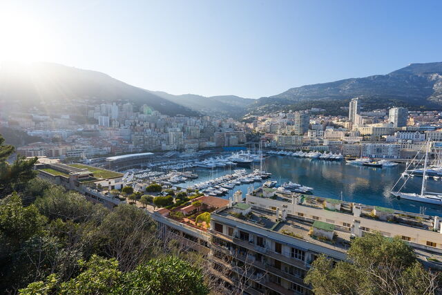 Monte Carlo