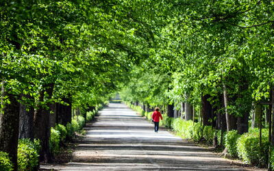 Cascine Park