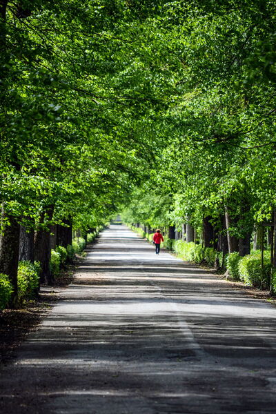 Cascine Park