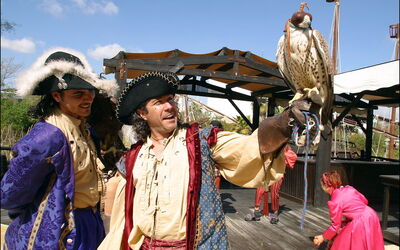 Pirates at Isla Mágica