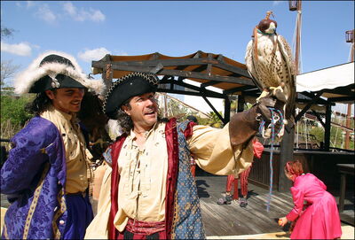 Pirates at Isla Mágica