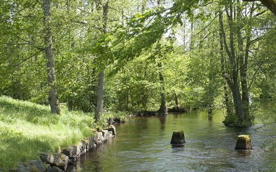 Vacation Rentals In Kronoberg