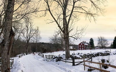 Vacation Rentals In Kronoberg