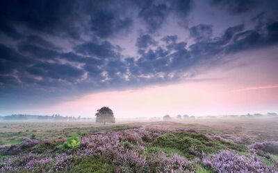 Vacation Rentals In Drenthe