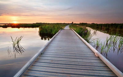 Vacation Rentals In Drenthe