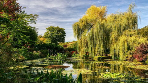 Monet's Gardens