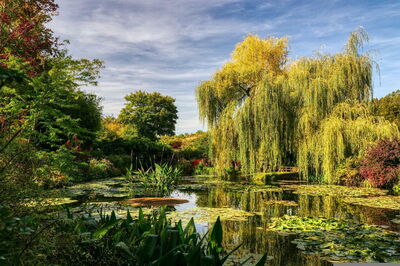 Monet's Gardens