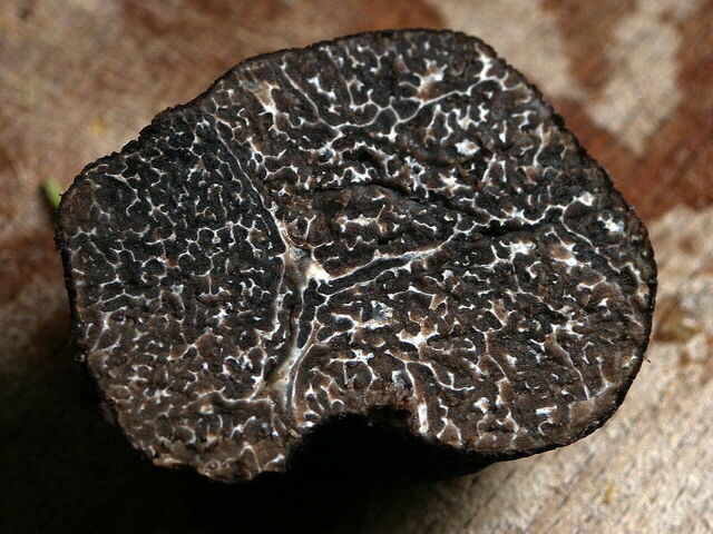 Winter truffle
